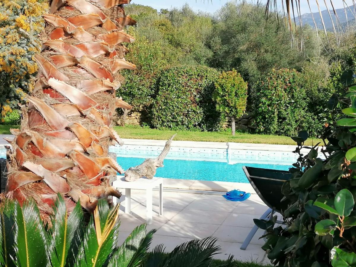 Studio 5Min Plage Agosta Albitreccia Luaran gambar